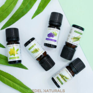 essential oils 1 edel naturals